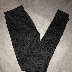 Gianni Bini Legging✨